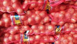 Ukuran Bawang Bombay Besar 60-80 mm